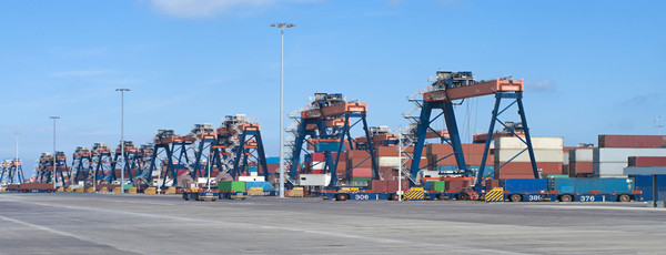 羊肉進口清關代理