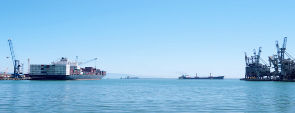 巴西甜瓜海運進口報關(guān)