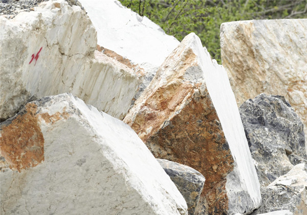 進(jìn)口報關(guān)代理