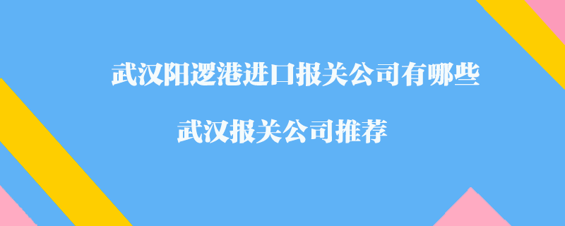 武漢陽邏港進(jìn)口報關(guān)公司有哪些？武漢報關(guān)公司推薦