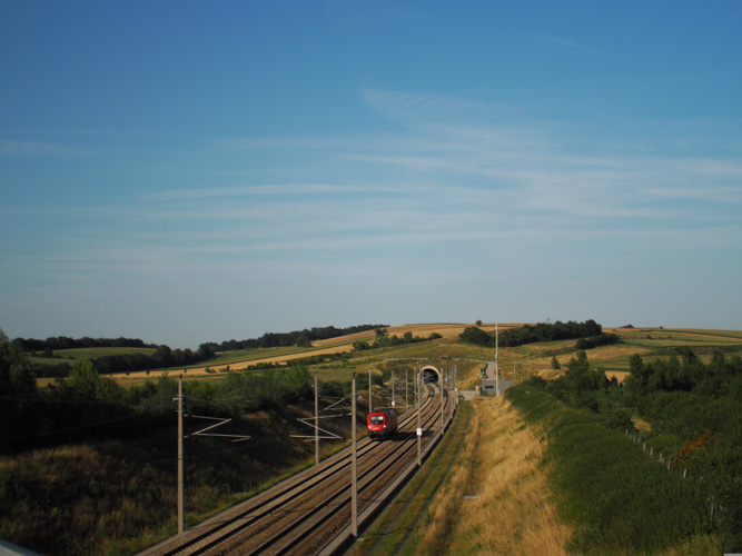 清遠一般貿易進出口