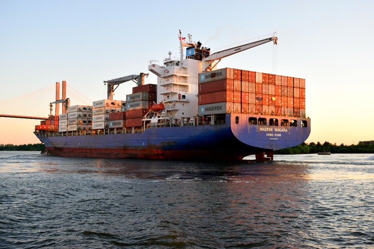 天津港孜然進口報關