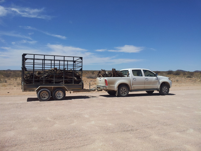 寧波港進口代理報關(guān)電話