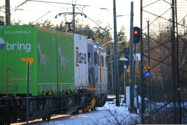 天津重慶進口海鮮報關