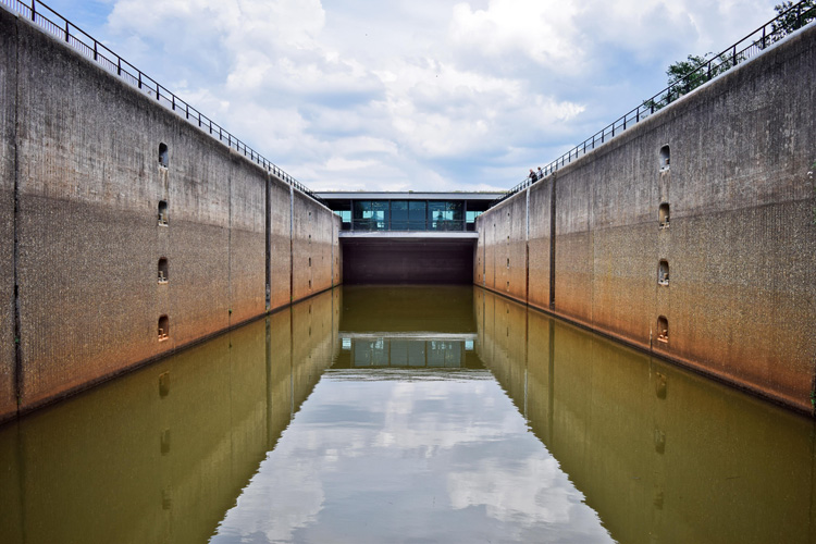 寧波進口牛奶報關代理