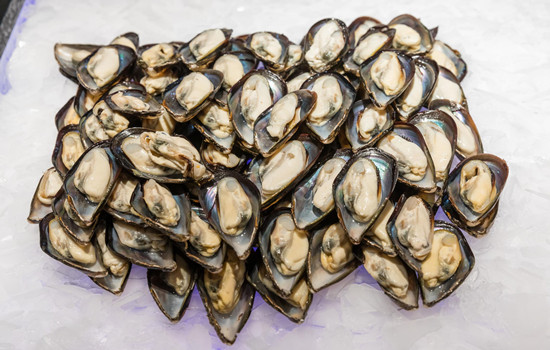 進口海鮮報關(guān)