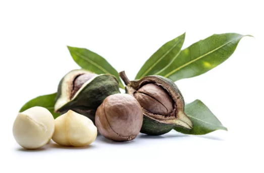 夏威夷果進(jìn)口報(bào)關(guān)