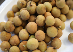 龍眼進口報關(guān)[案例]