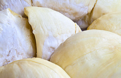 冷凍榴蓮肉進口清關(guān)[案例]