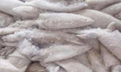 冷凍魷魚進口清關